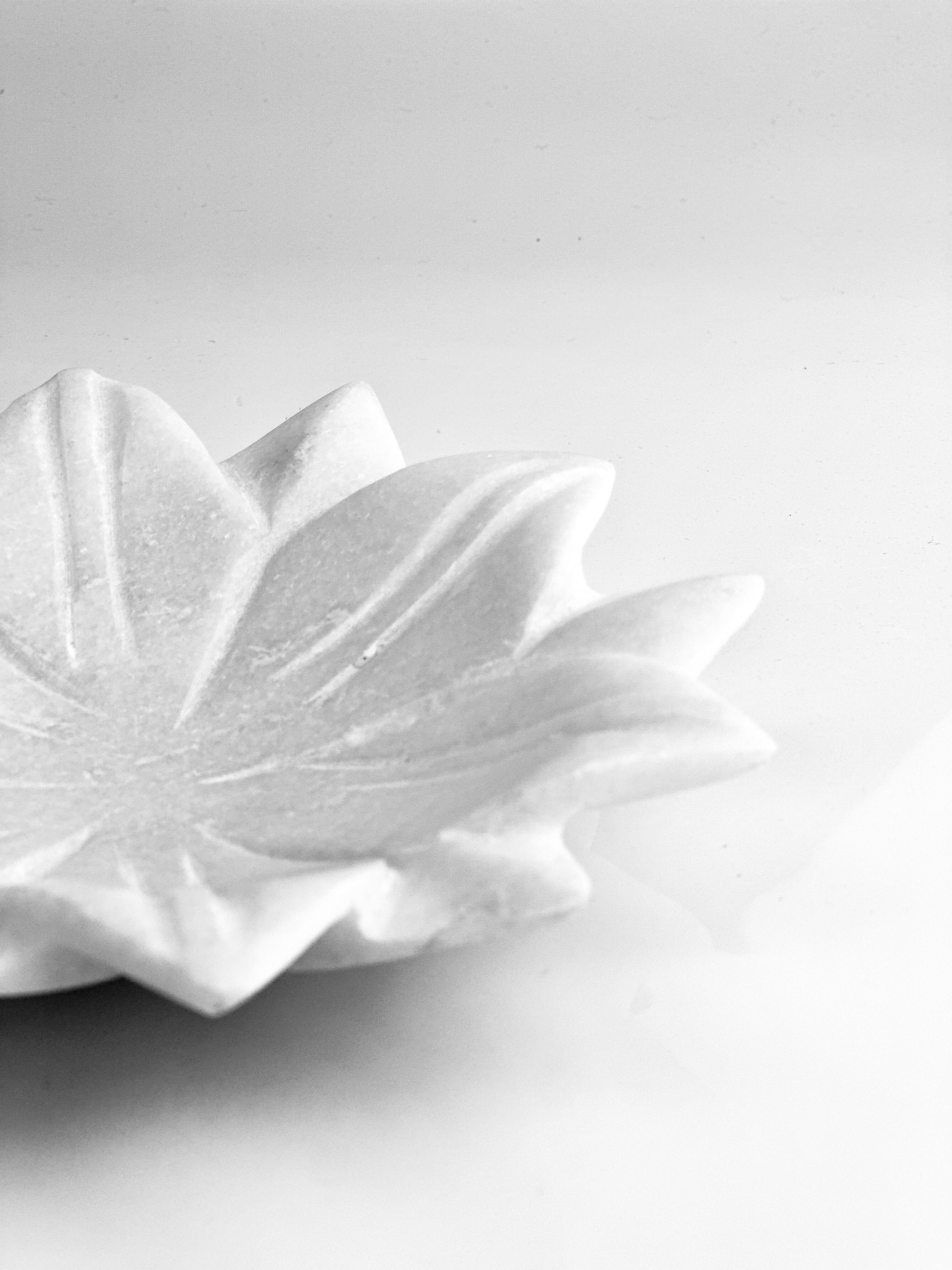 Frost Petal Shallow Bowl Hand-Carved White Marble – 6" - Tejo